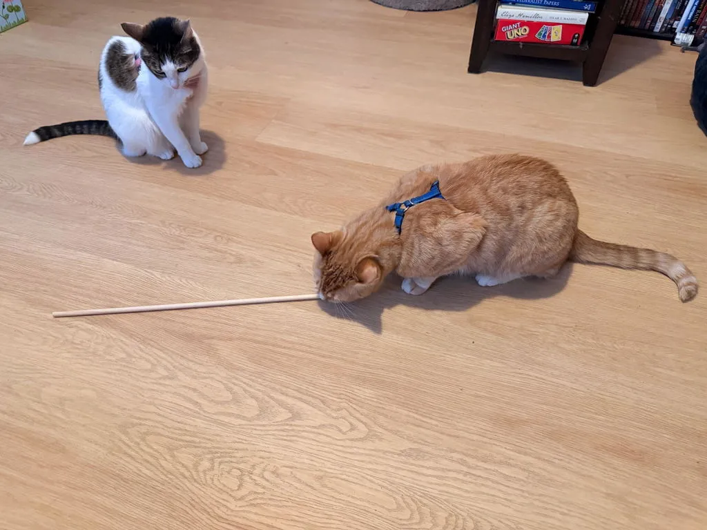 P.L.A.Y. Feline Frenzy Purrfectly Pitted Wand kattleksak oliv kattmynta