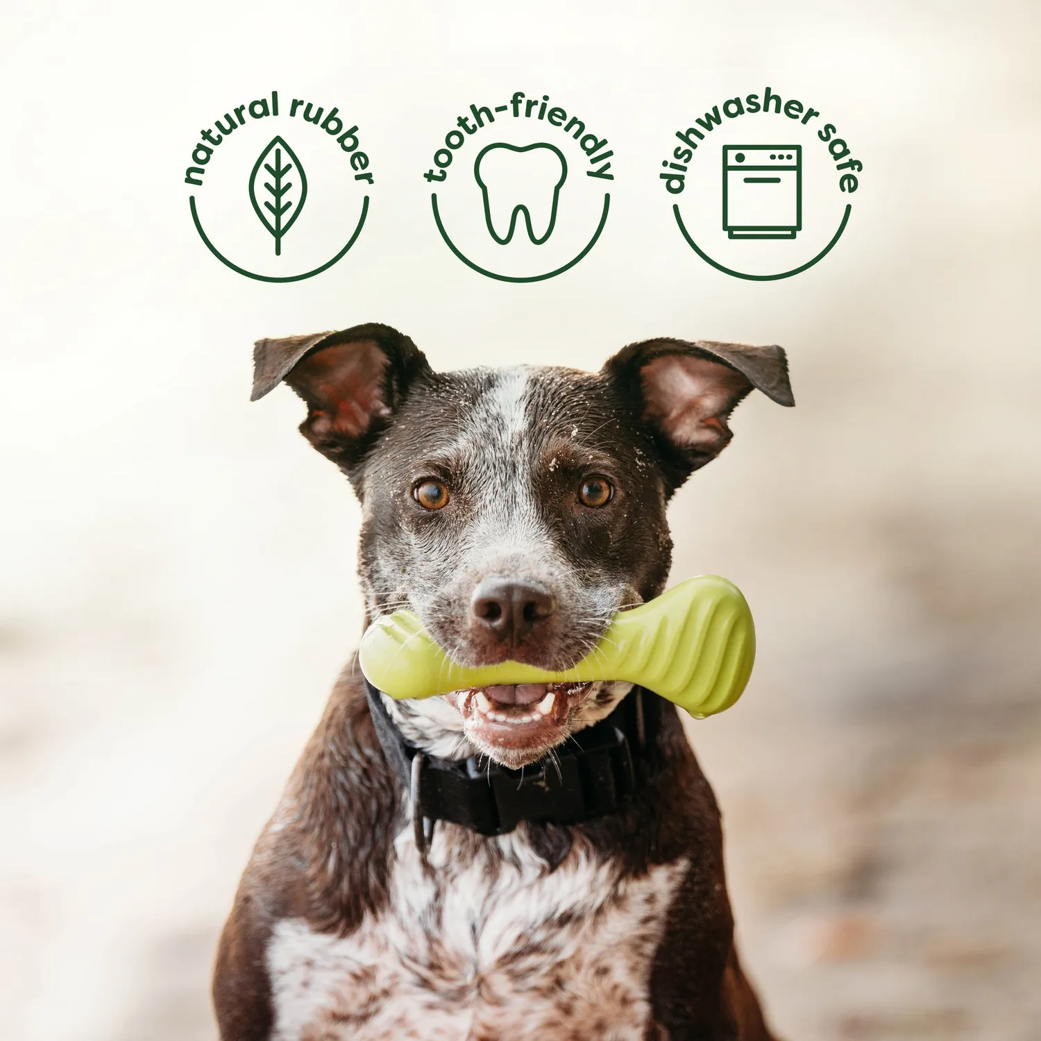 Benebone Chew & Chase Duo tuggleksak Medium 2-pack bacon