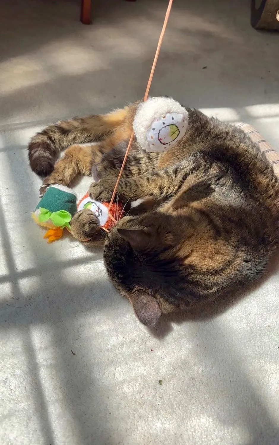 P.L.A.Y. Feline Frenzy Roll With It kattspö med kattmynta