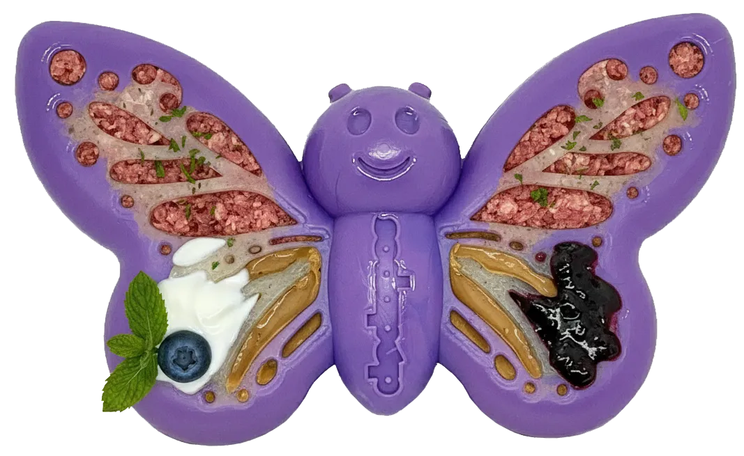 SodaPup Butterfly tuggleksak nylon 3-pack lila tål tugg