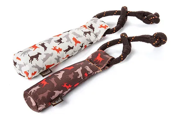 P.L.A.Y. Scout & About Toss and Float hundleksak med reflex