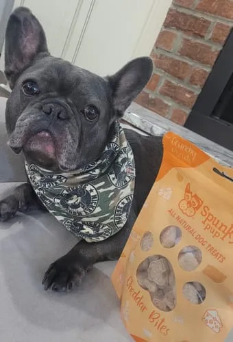 Spunky Pup All Natural Baked Biscuits hundkex Prime Rib 10 oz naturliga