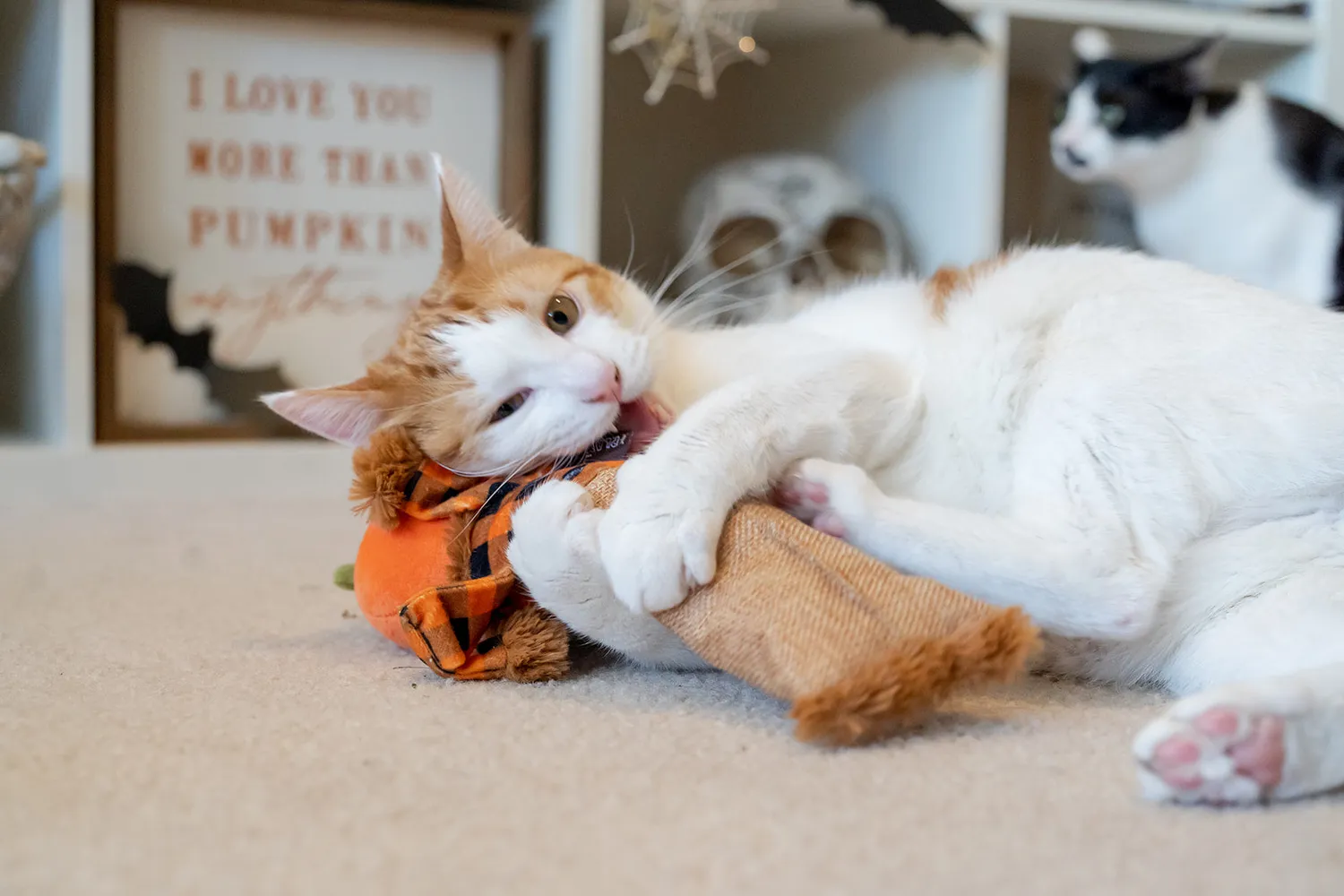 P.L.A.Y. Feline Frenzy Scaredy Crow kattleksak kattmynta
