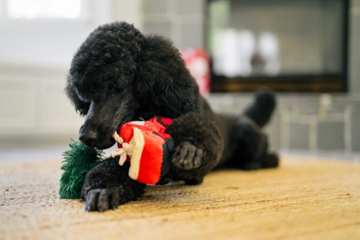 P.L.A.Y. Home for the Holidays Holiday Hauler hundleksak röd med pip