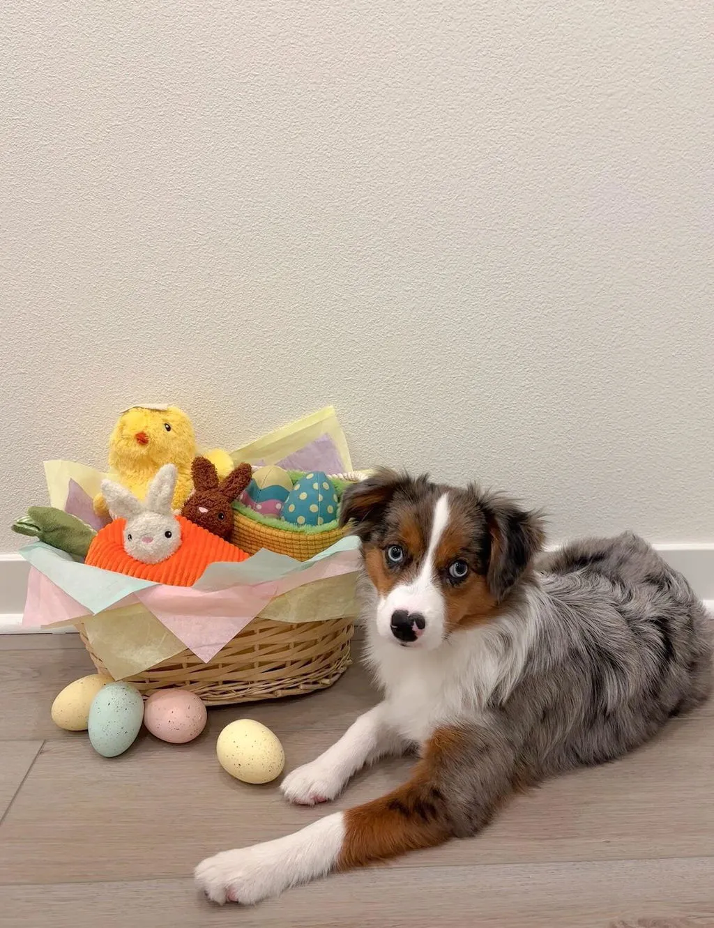 P.L.A.Y. Hippity Hoppity hundleksaksset mjuk 3-delar