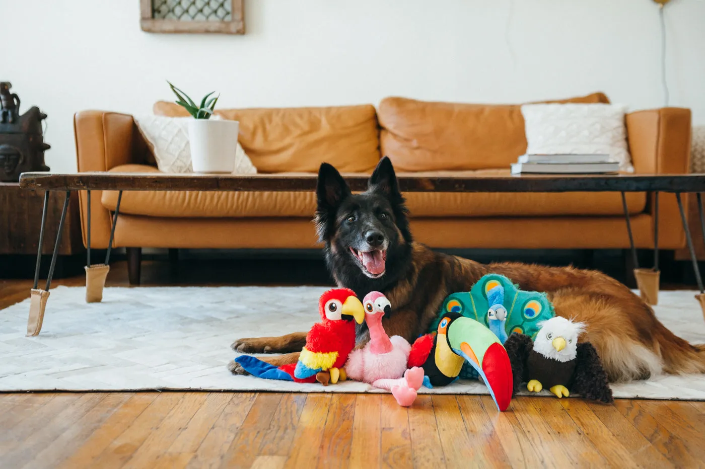 P.L.A.Y. Fetching Flock Collection mjuk hundleksak 5-pack fåglar