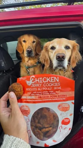 Spunky Pup Chicken Jerky kex hundgodis 340 g kyckling