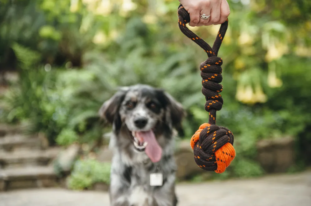 P.L.A.Y. Scout About Tug Ball bollrep S med handtag