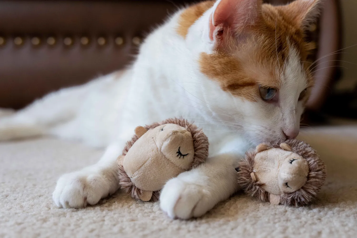 P.L.A.Y. Feline Frenzy Mama Chip kattleksak kattmynta