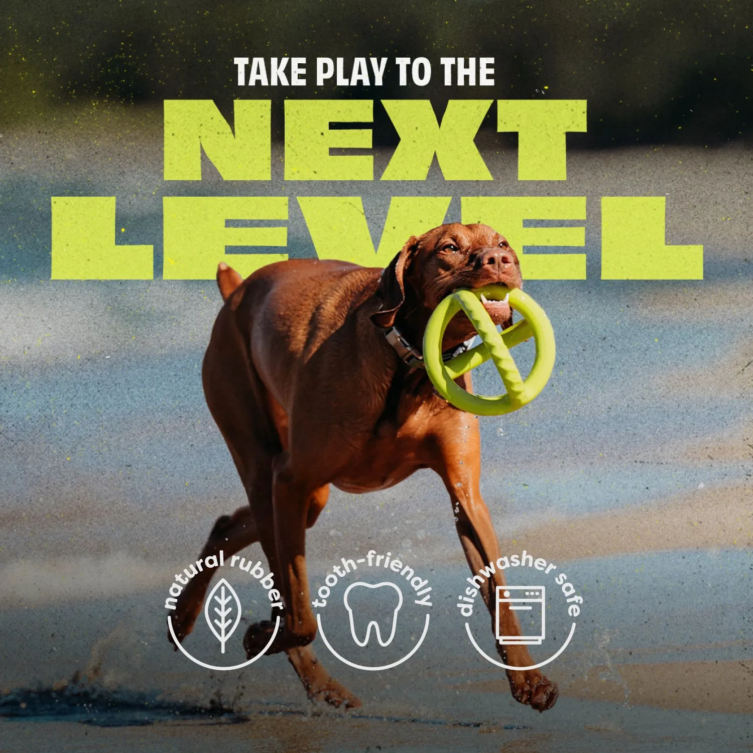 Benebone Chew Tug Duo leksaksset medium bacon