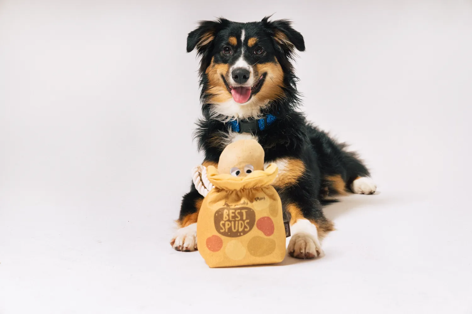 P.L.A.Y. Picked Fresh Potato Pals hundleksak 3-i-1 med pip