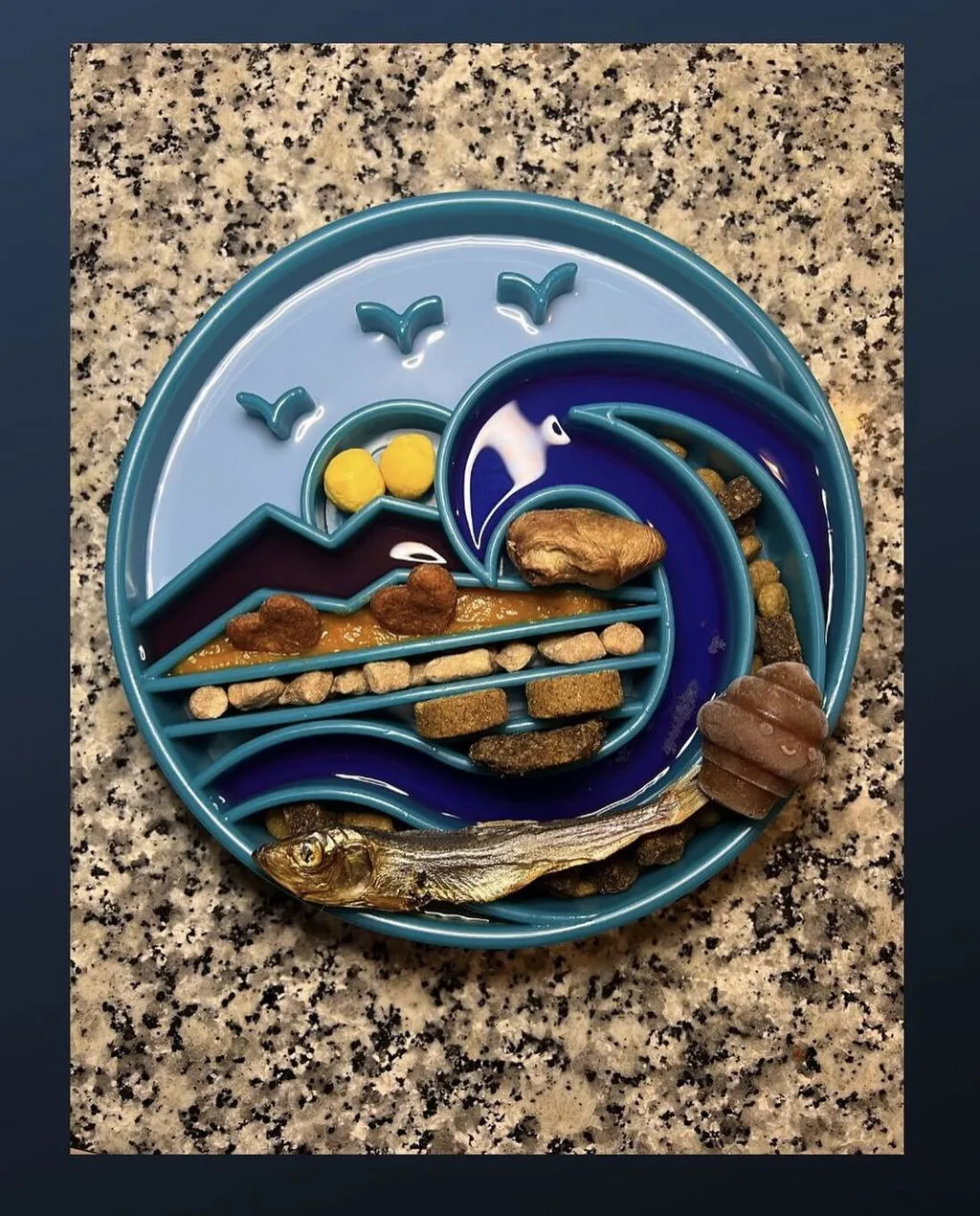 SodaPup Sun and Moon eTray slickmatta hund orange yin yang
