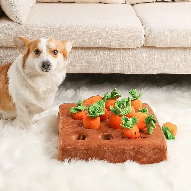 Pawtato Carrot Patch nosaktivering morotsland hundleksak dragkamp