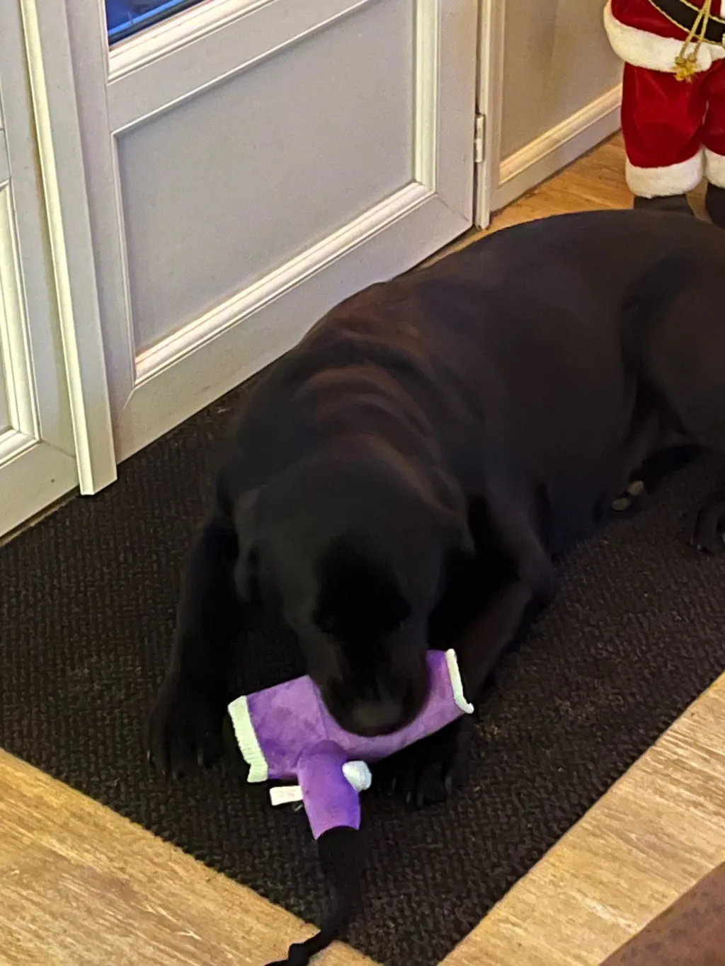 P.L.A.Y. Splish Splash Bark Bristles mjukisleksak med rep
