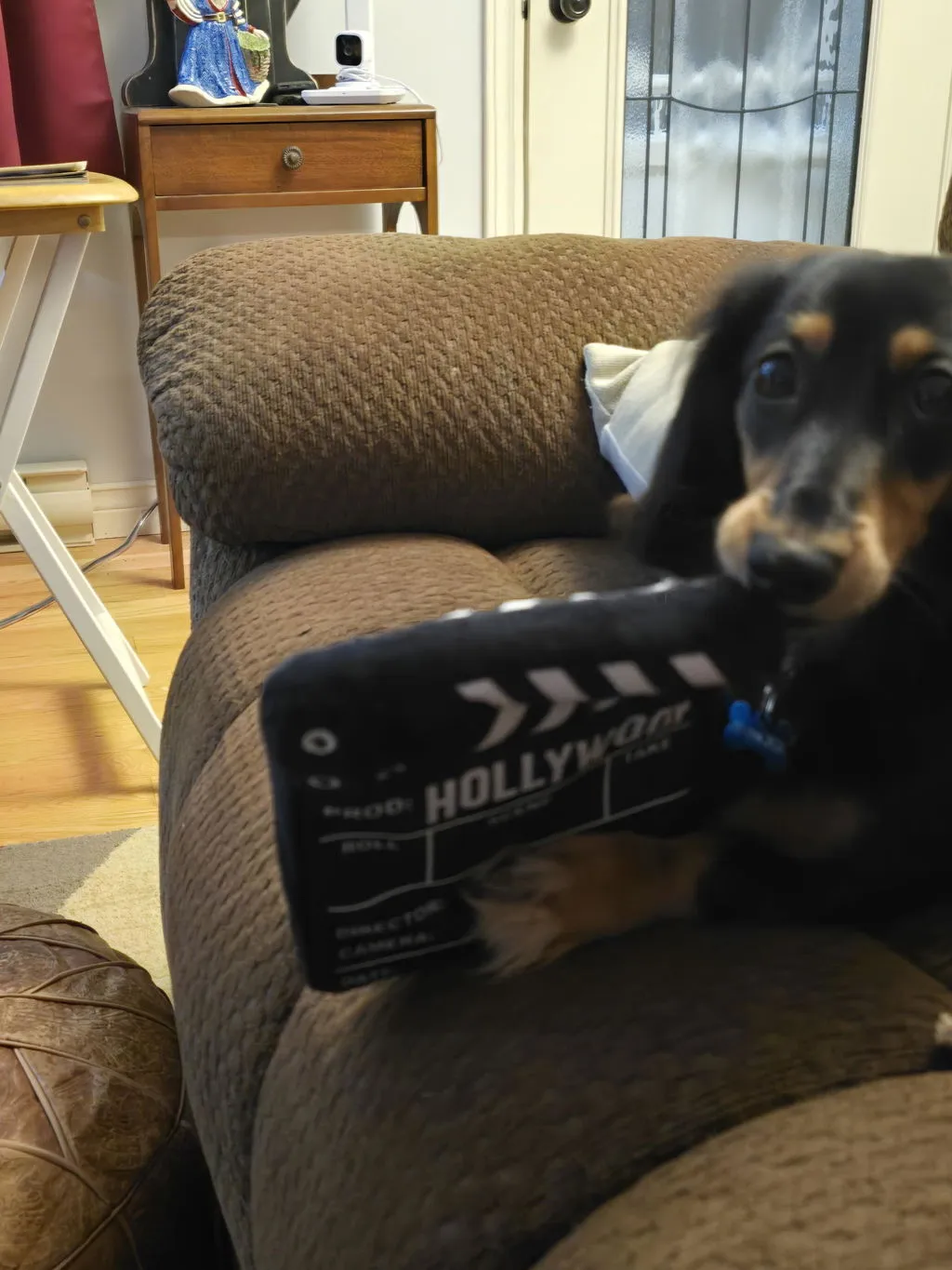 P.L.A.Y. Hollywoof Cinema 3-Dog Glasses hundleksak mjuk med pip