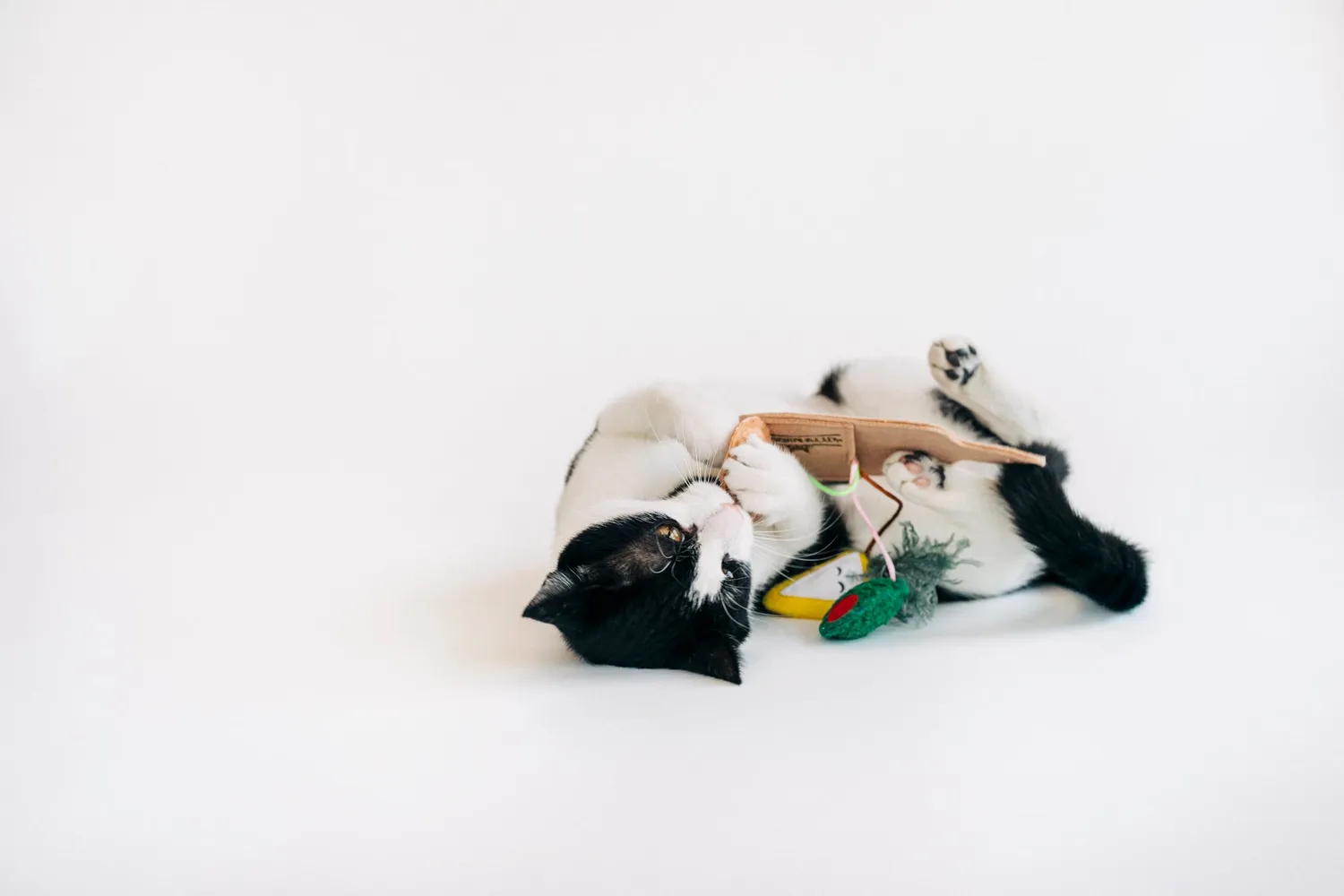Feline Frenzy Purrfect Pairings kattleksak catnip 3-pack prassel