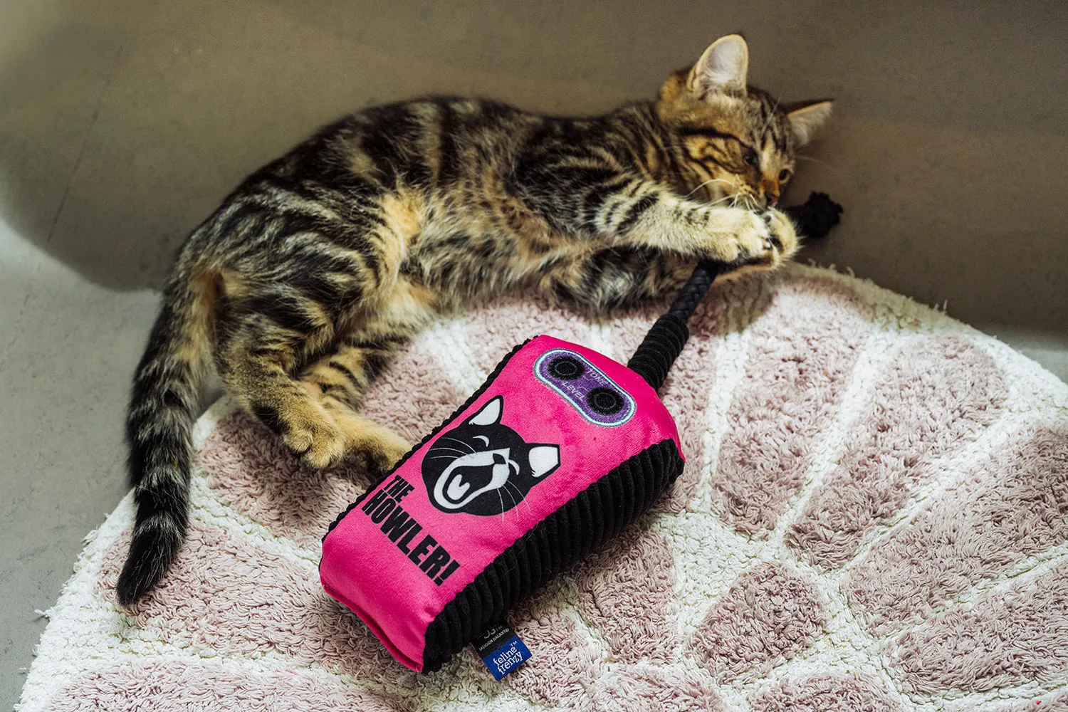 P.L.A.Y. Feline Frenzy Stomp Box kattleksak kattmynta