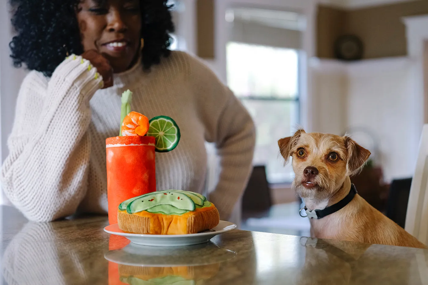 P.L.A.Y. Barking Brunch Collection hundleksak set 5-pack