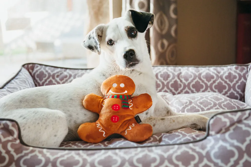 P.L.A.Y. Holiday Classic Holly Jolly Gingerbread hundleksak brun pip