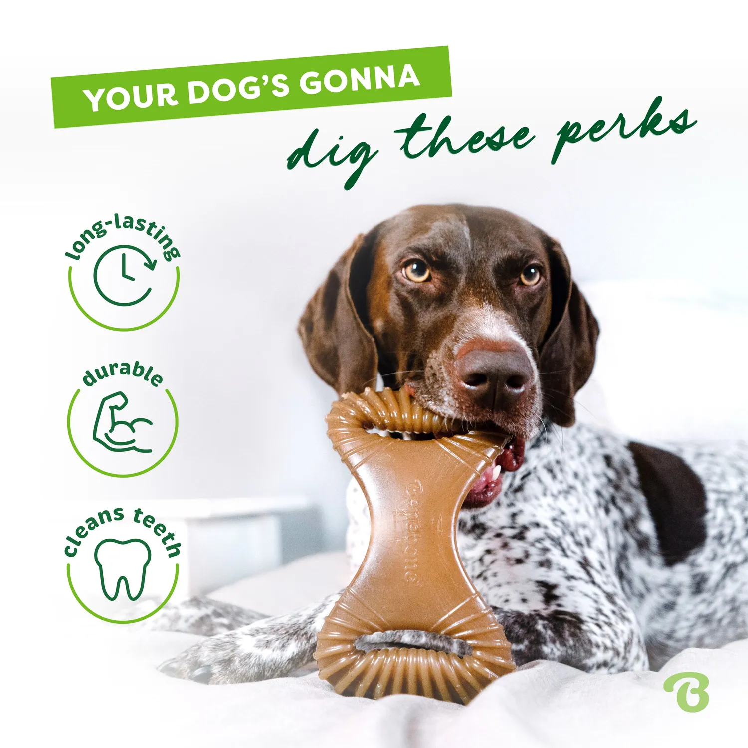 Benebone Dental Chew tuggben medium bacon tandborste