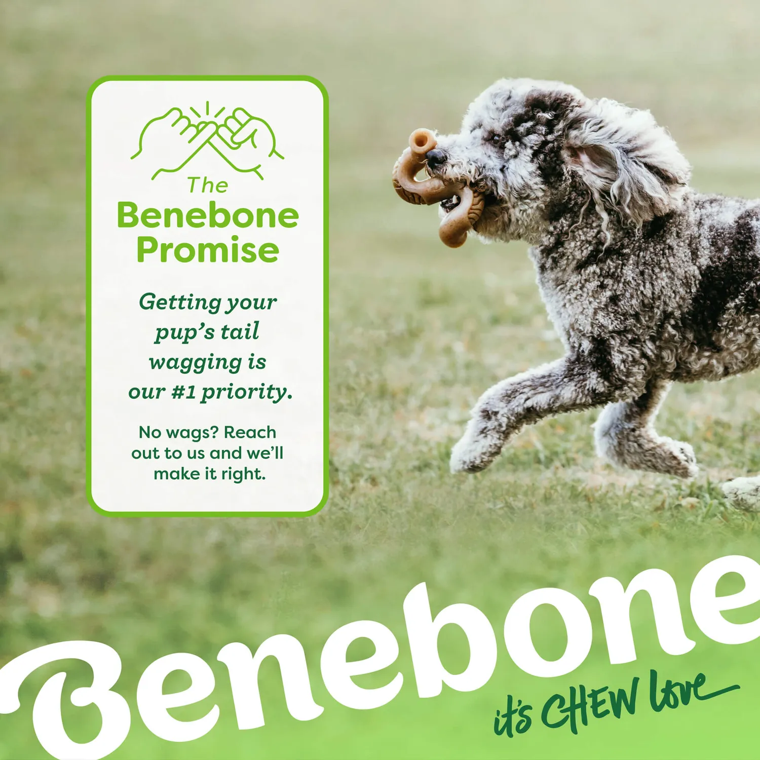 Benebone Tripe Bone tuggben beef Medium