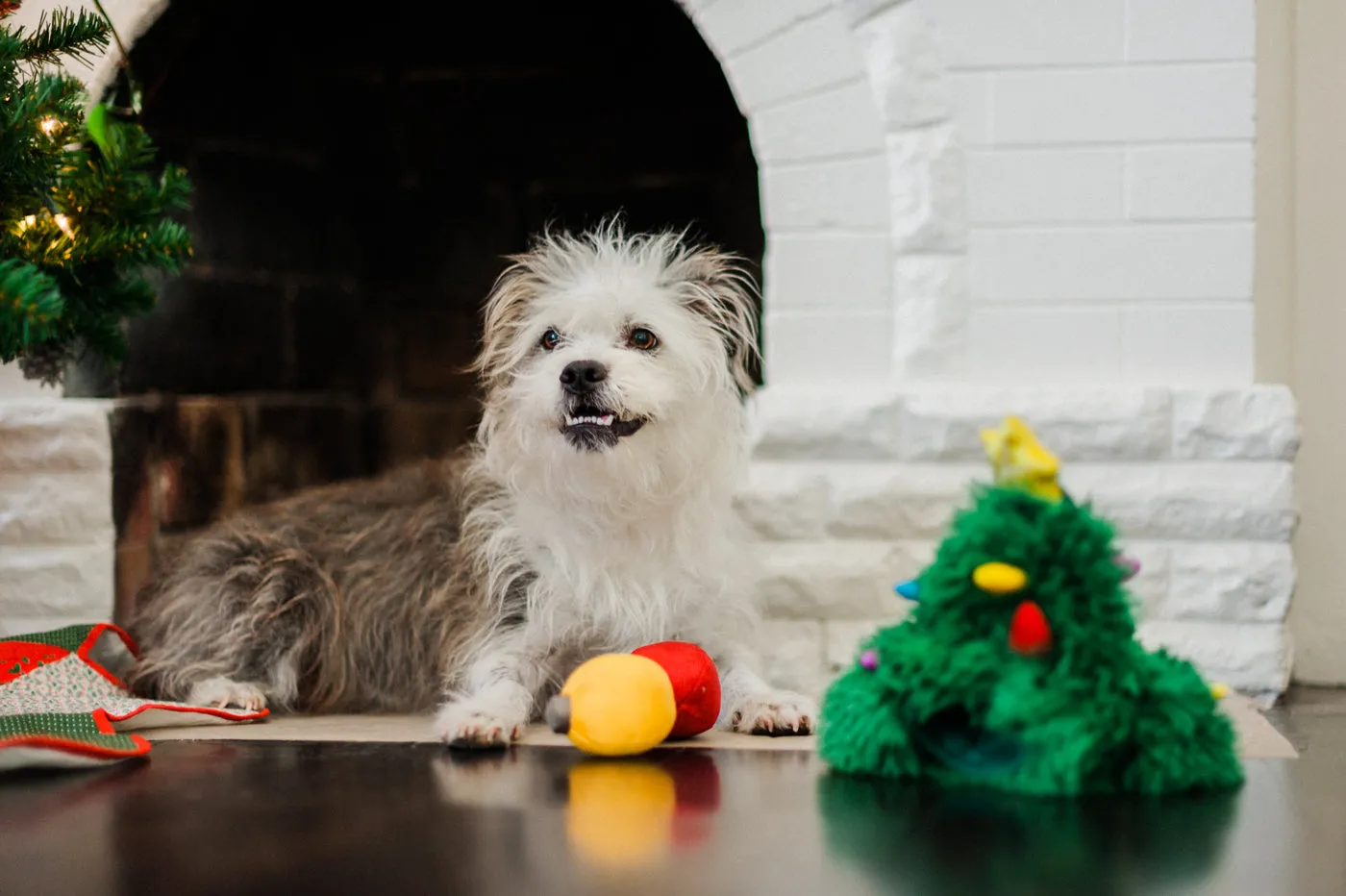 P.L.A.Y. Merry Woofmas Doglas Fur hundleksak gran med pip