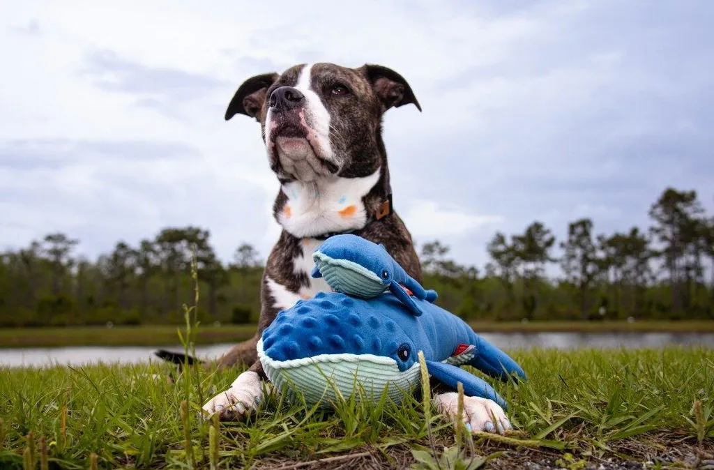 P.L.A.Y. Ocean Buddies Big Blue Baby Blue hundleksak mjuk med pip