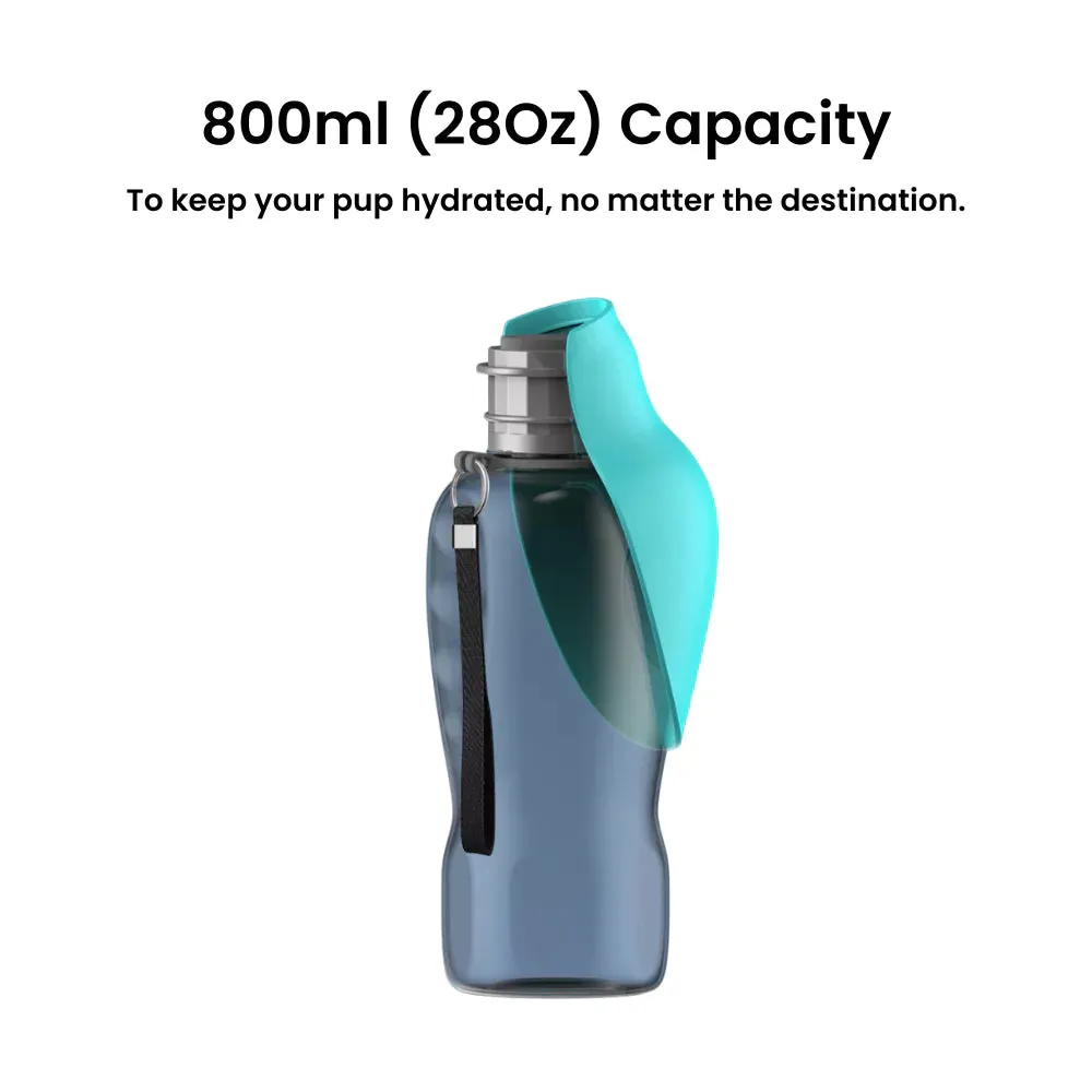 Pawtato Leakproof Travel vattenflaska hund 800 ml