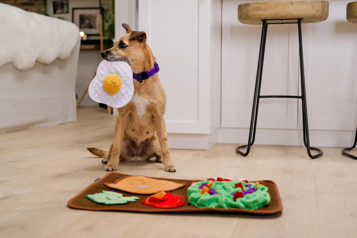 P.L.A.Y. Savory Sunrise snuffelmatta med pip