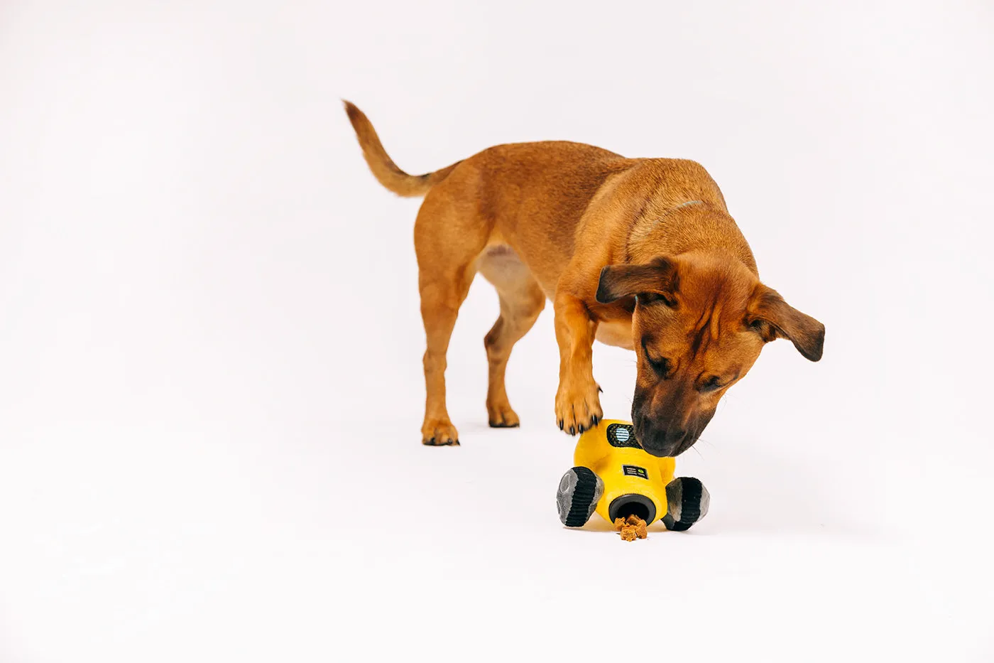 P.L.A.Y. Alien Buddies Robo-Rover hundleksak 2-i-1 tålig