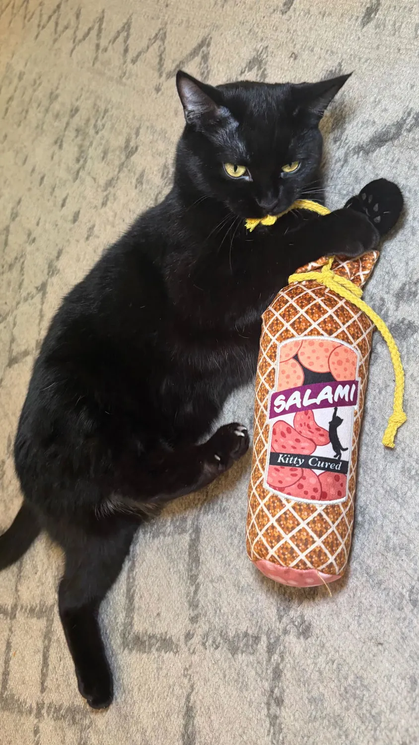 P.L.A.Y. Feline Frenzy Salami Slammer kattleksak kattmynta