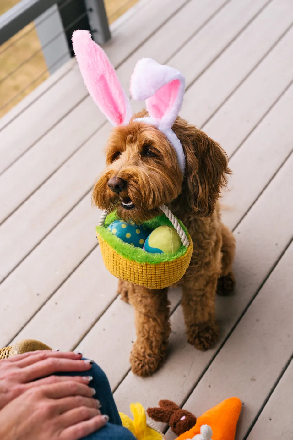 P.L.A.Y. Hippity Hoppity Eggs-cellent Basket hundleksak