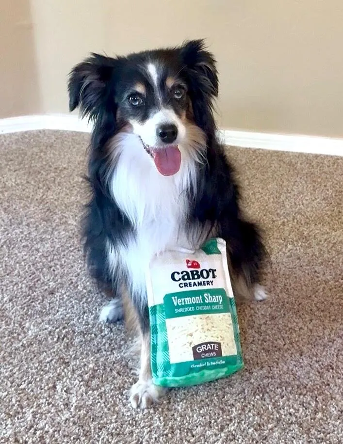 P.L.A.Y. Cabot Cheddar Shredder aktiveringsleksak