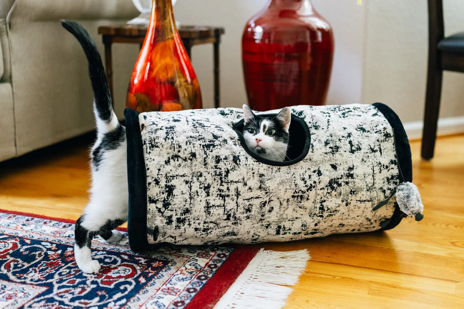 P.L.A.Y. Feline Frenzy Purr & Pounce katttunnel Night Sky Black