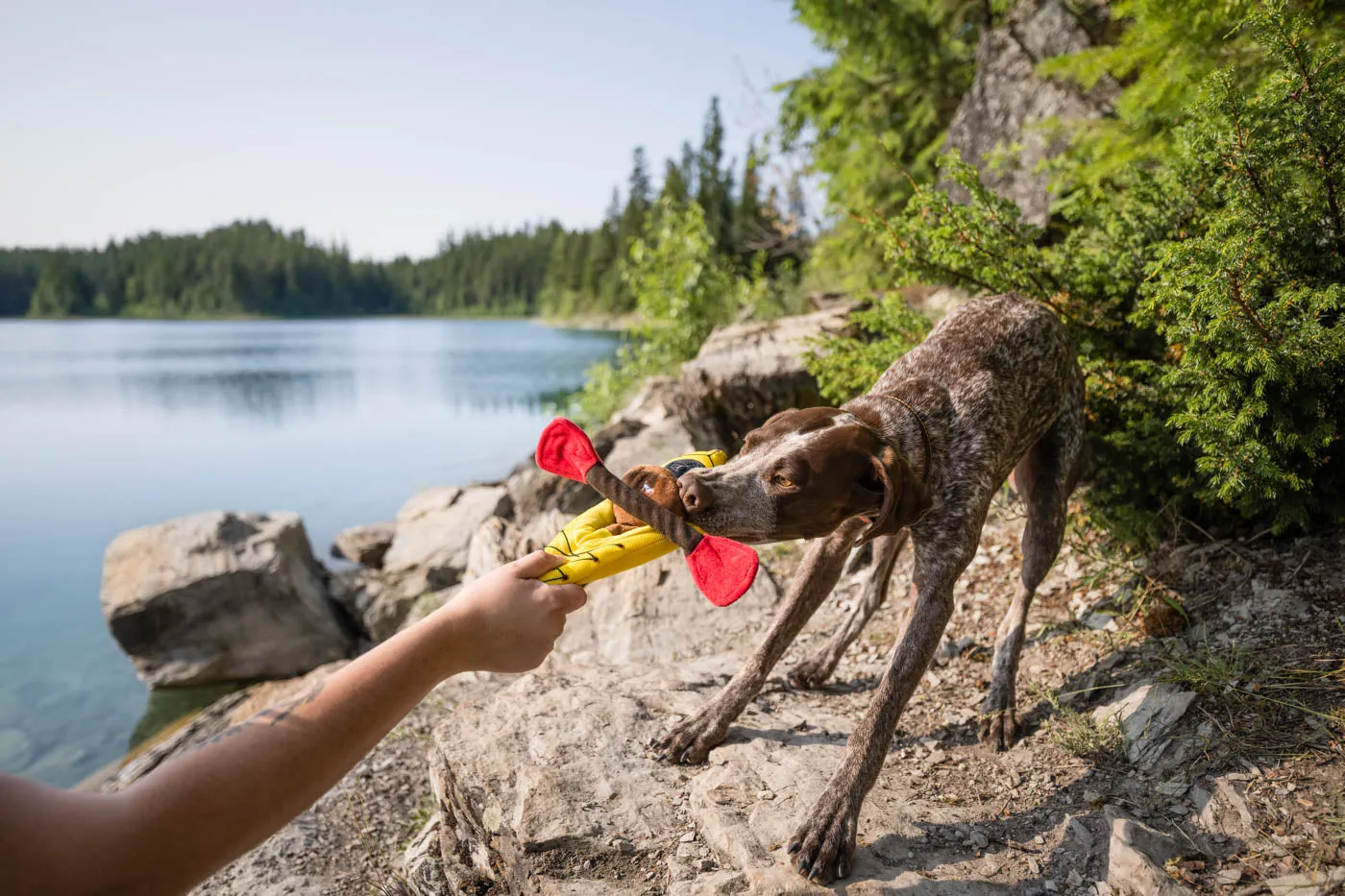 P.L.A.Y. Camp Corbin K9 Kayak hundleksak gul med pip
