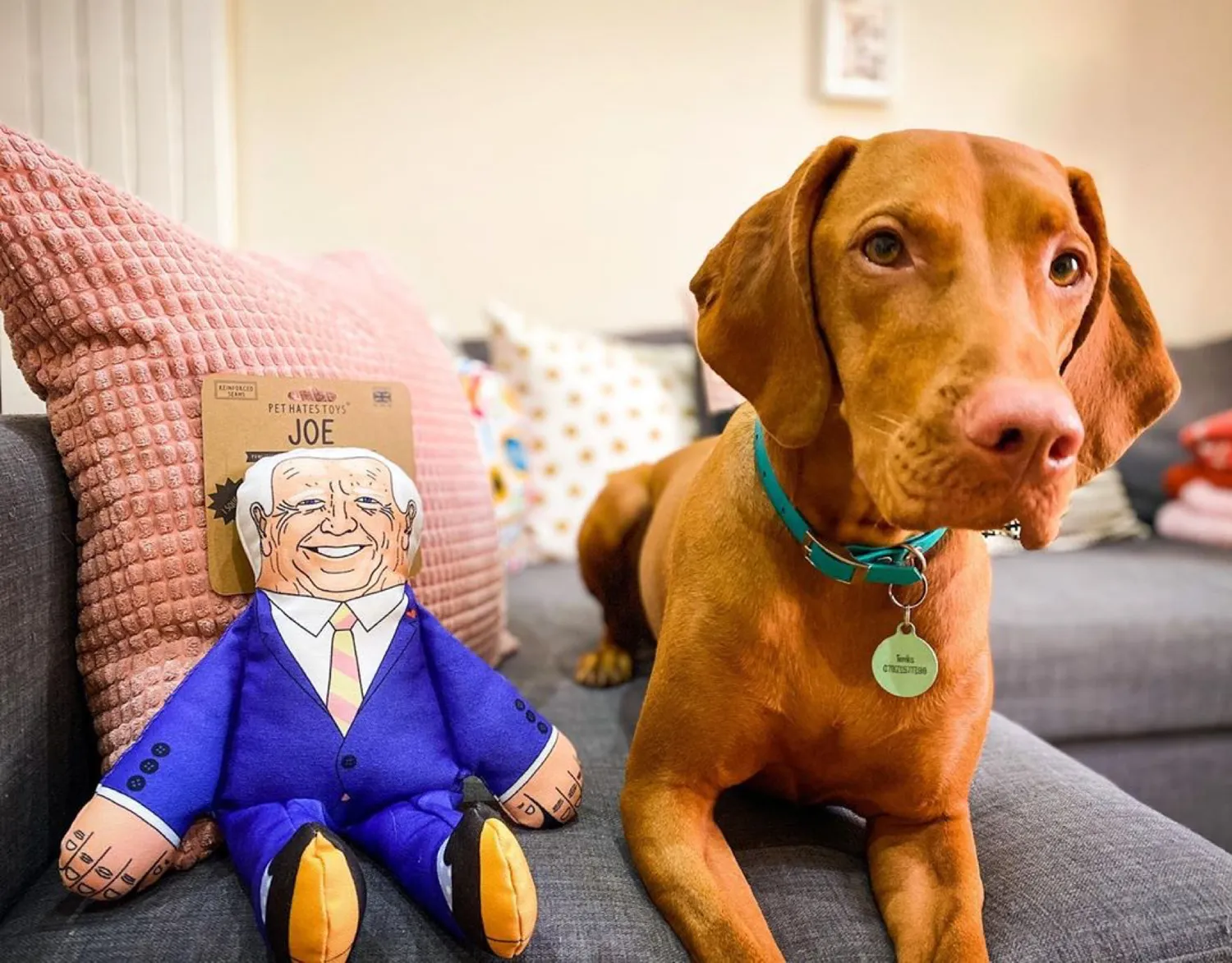 Pet Hates Toys Joe Biden hundleksak regular med pip