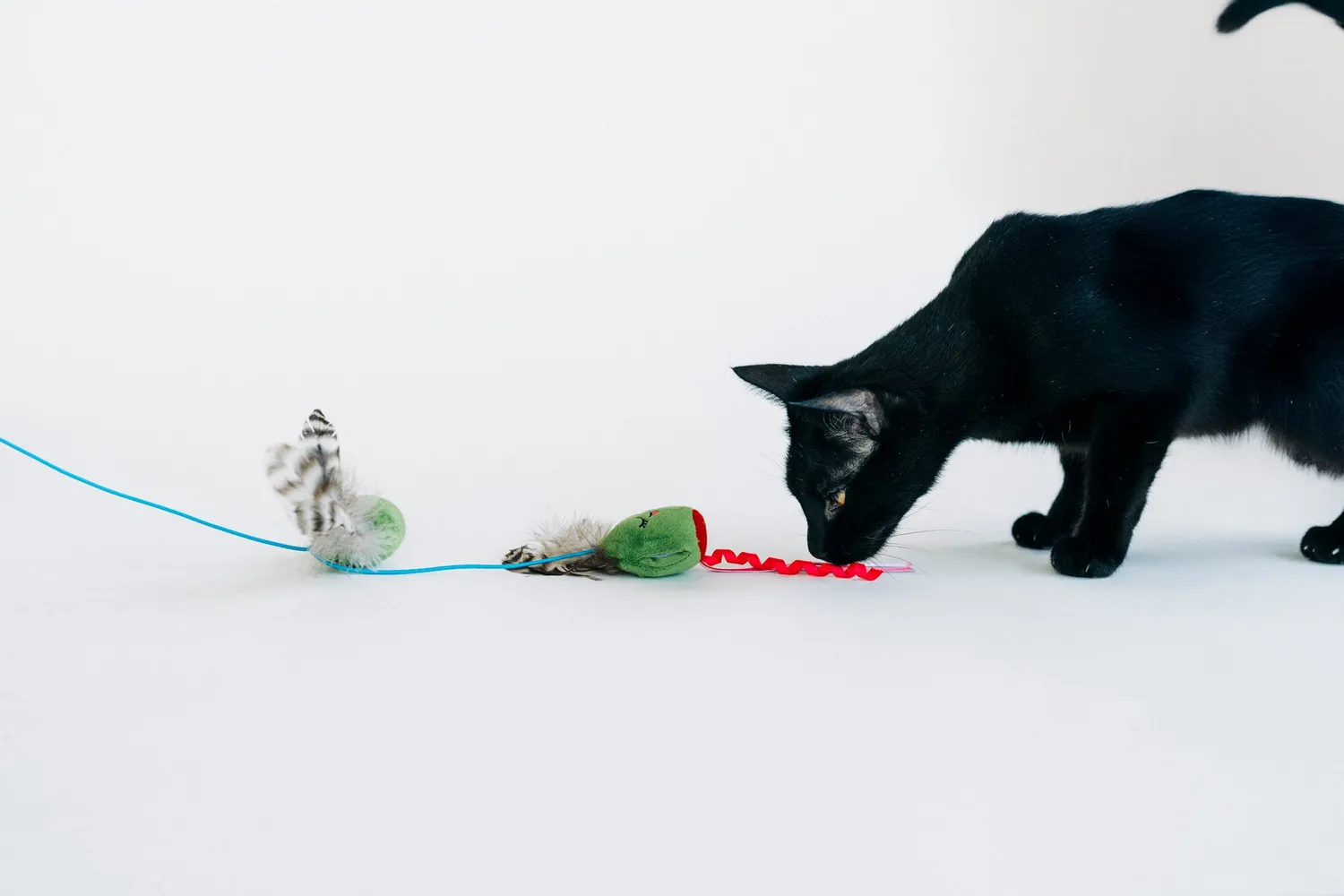 P.L.A.Y. Feline Frenzy Purrfectly Pitted Wand kattleksak oliv kattmynta