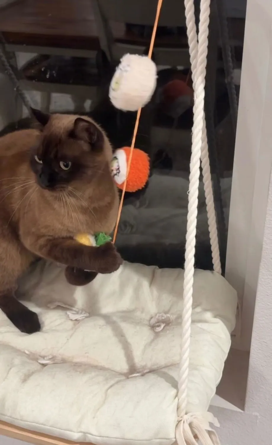 P.L.A.Y. Feline Frenzy Roll With It kattspö med kattmynta