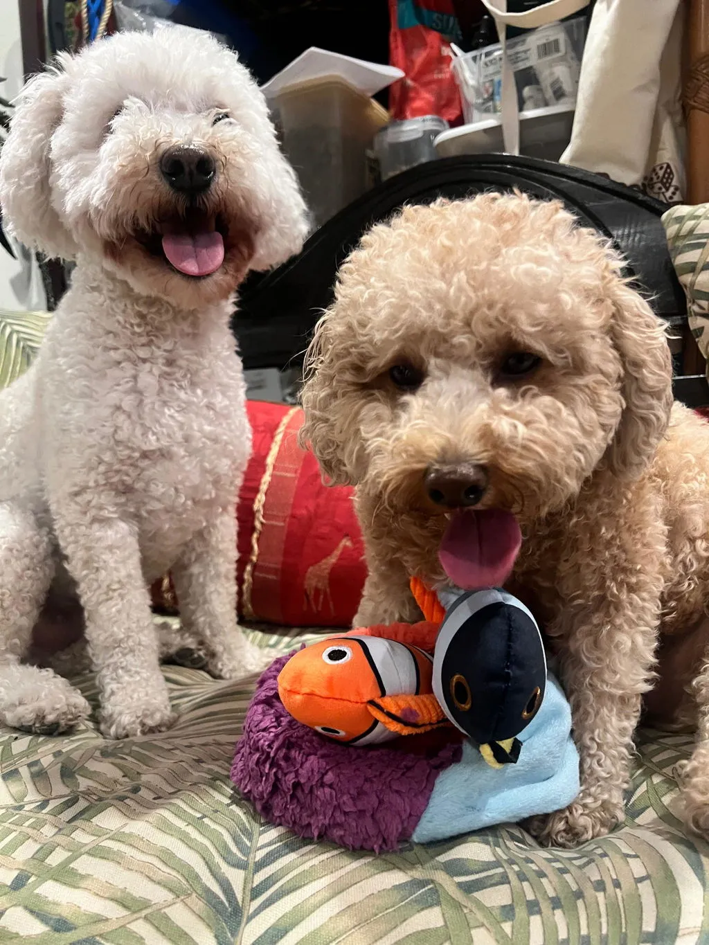 P.L.A.Y. Ocean Buddies Reef Retreat hundleksak 3-delar med pip