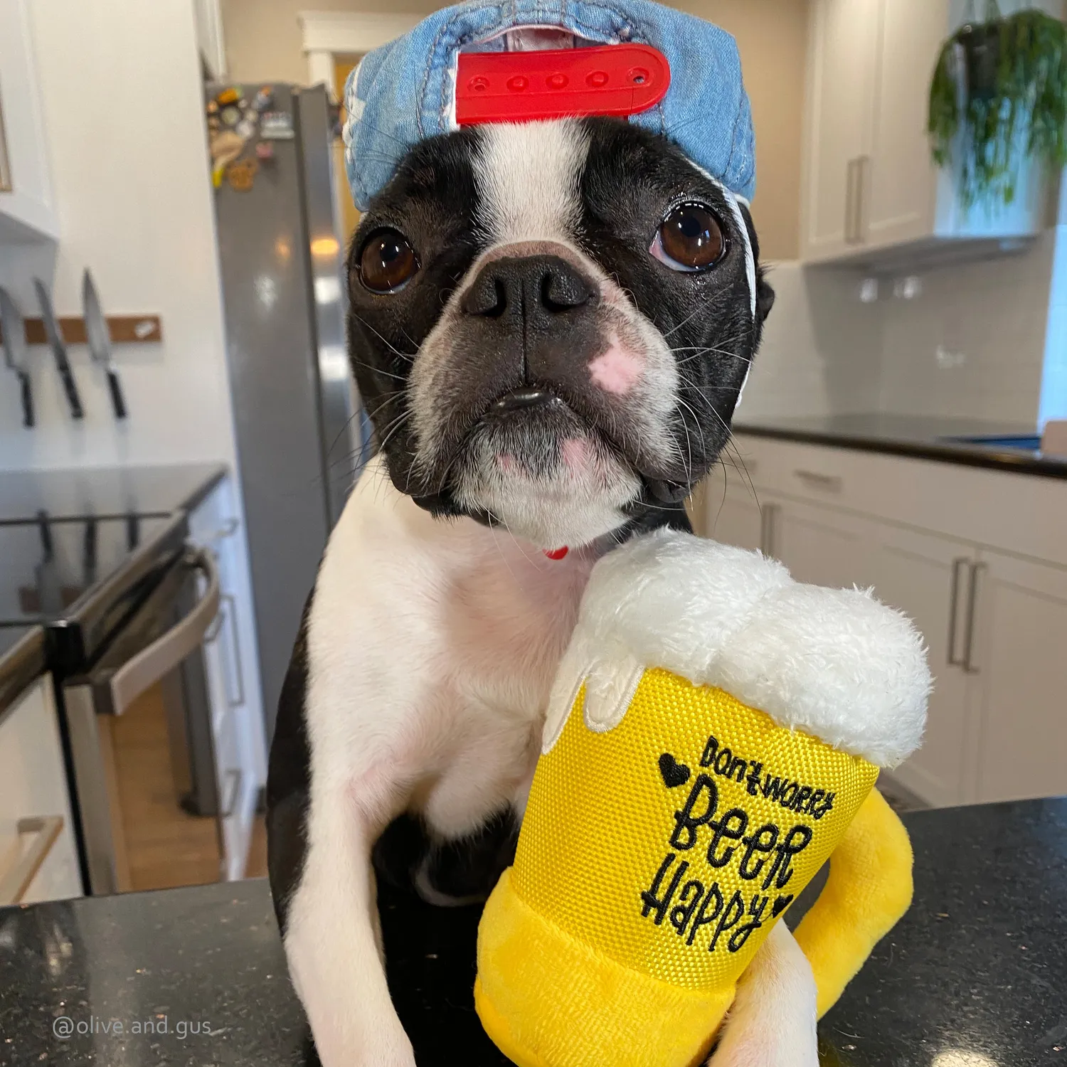 P.L.A.Y. Clive & Bacon Barking Beer hundleksak gul med pip