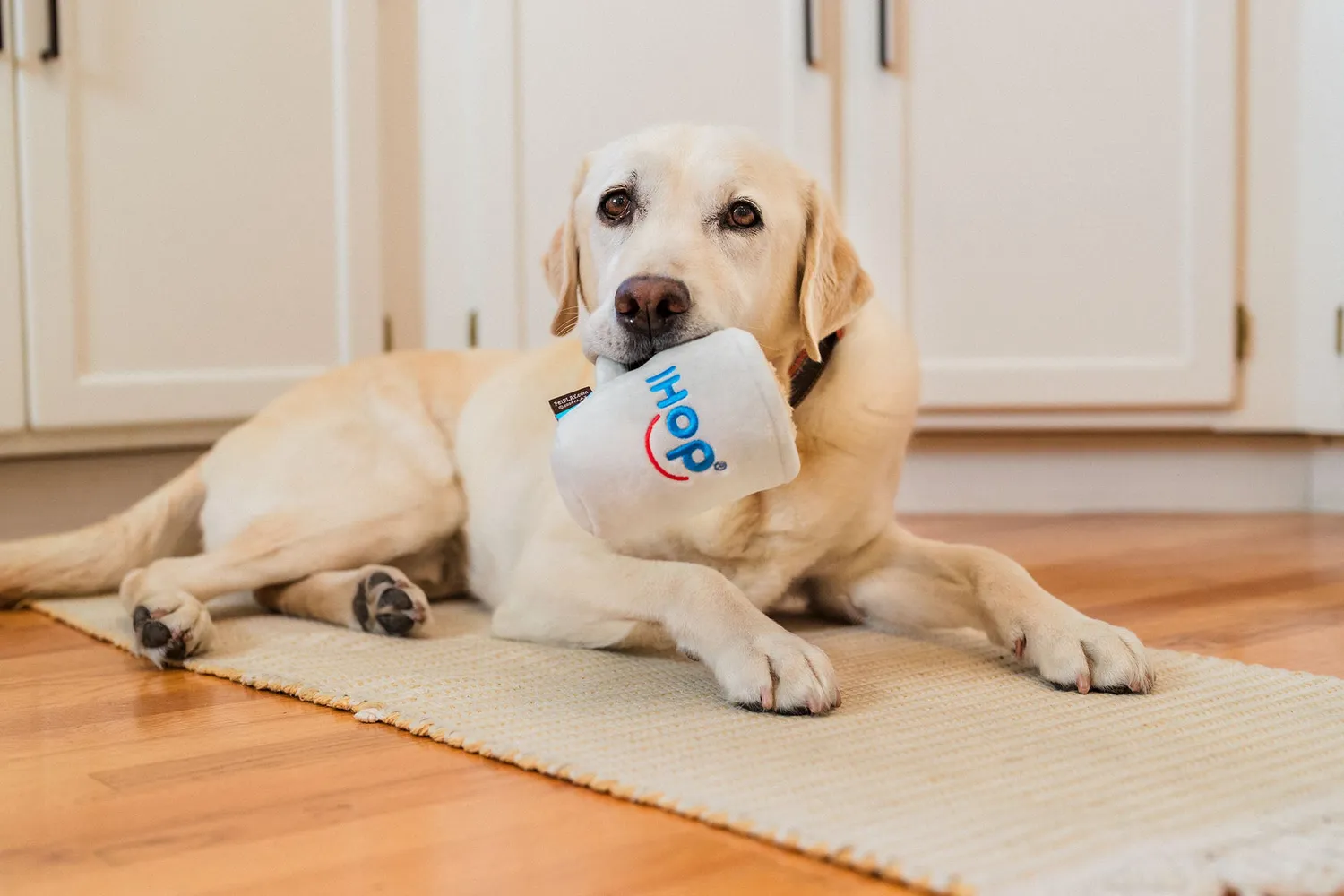 P.L.A.Y. Barking Bean Brew hundleksak vit kaffemugg med pip