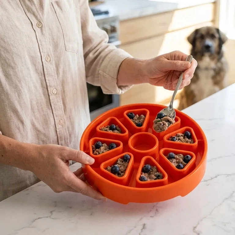 SodaPup Citrus eTray slickmatta orange 2,25 cups grund