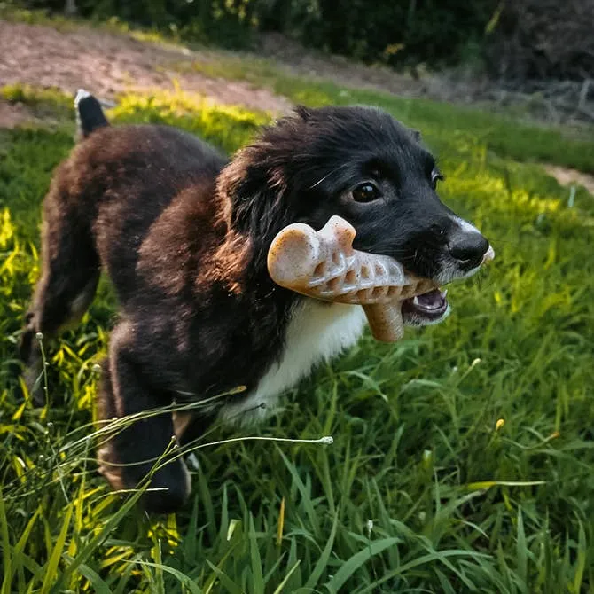 Spunky Pup Nylon-Woodfilled tuggben hjorthorn Deer