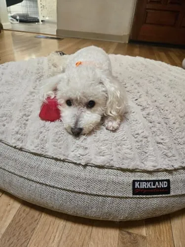 Spunky Pup Squeaky Gems Diamond hundleksak bla med pip