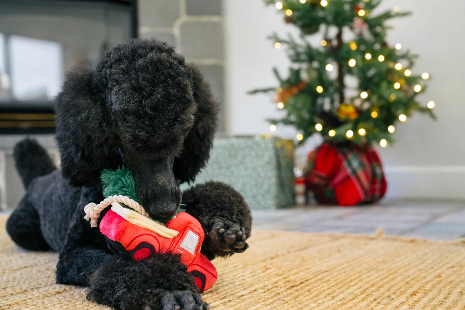 P.L.A.Y. Home for the Holidays Holiday Hauler hundleksak röd med pip