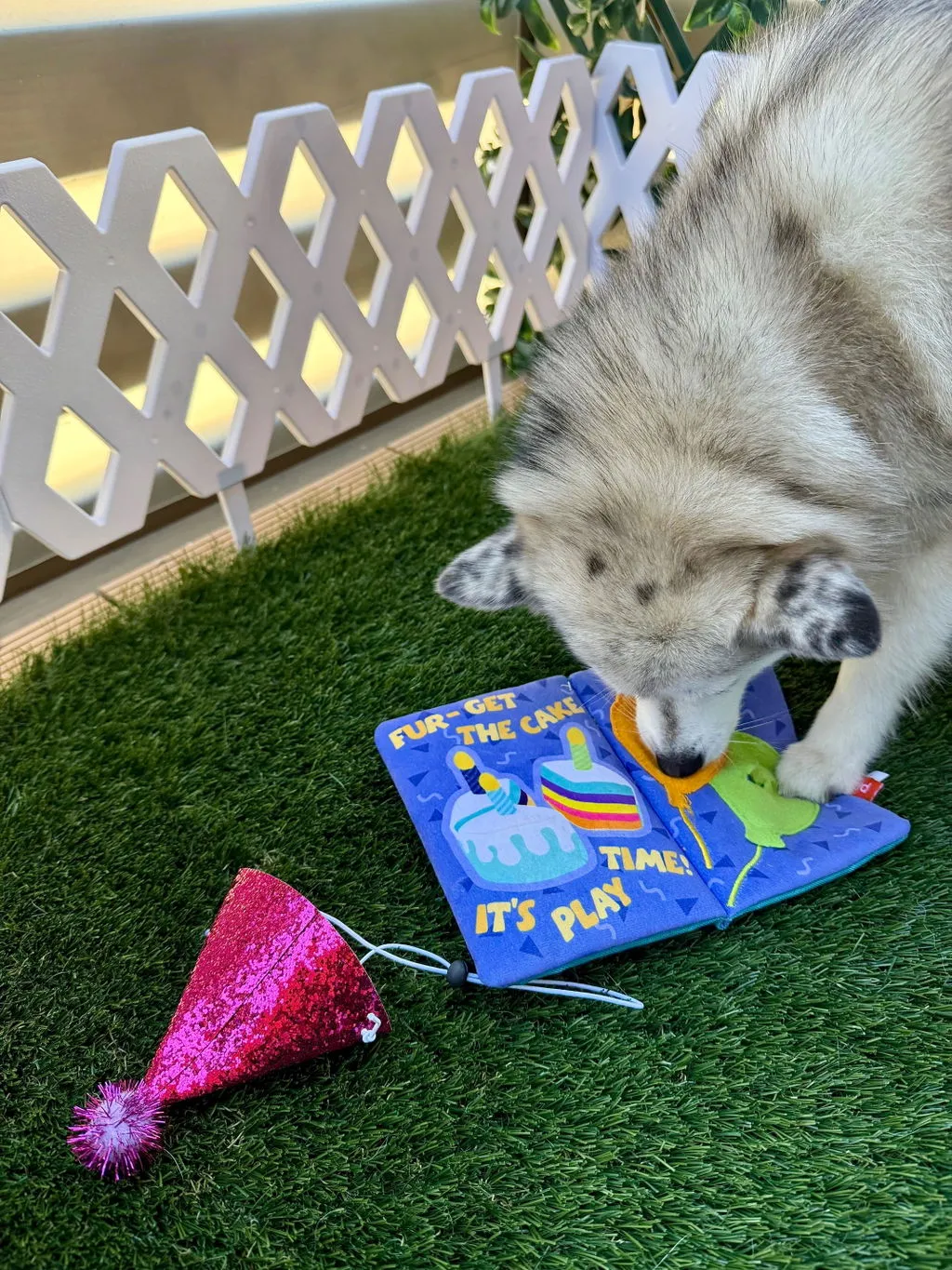P.L.A.Y. Party Animal Barkday Wishes hundleksak med godisgömma