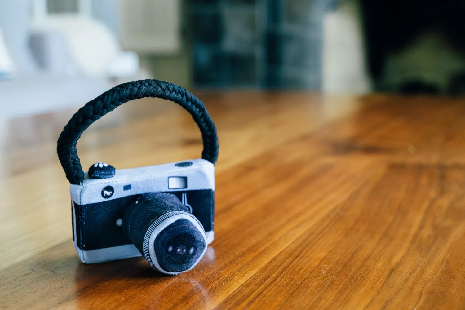 P.L.A.Y. Globetrotter Lens Licker Camera hundleksak mini pip