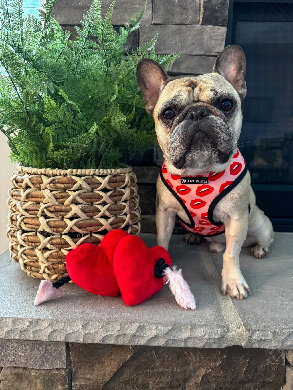 P.L.A.Y. Puppy Love Barking Bubbly hundleksak med pip