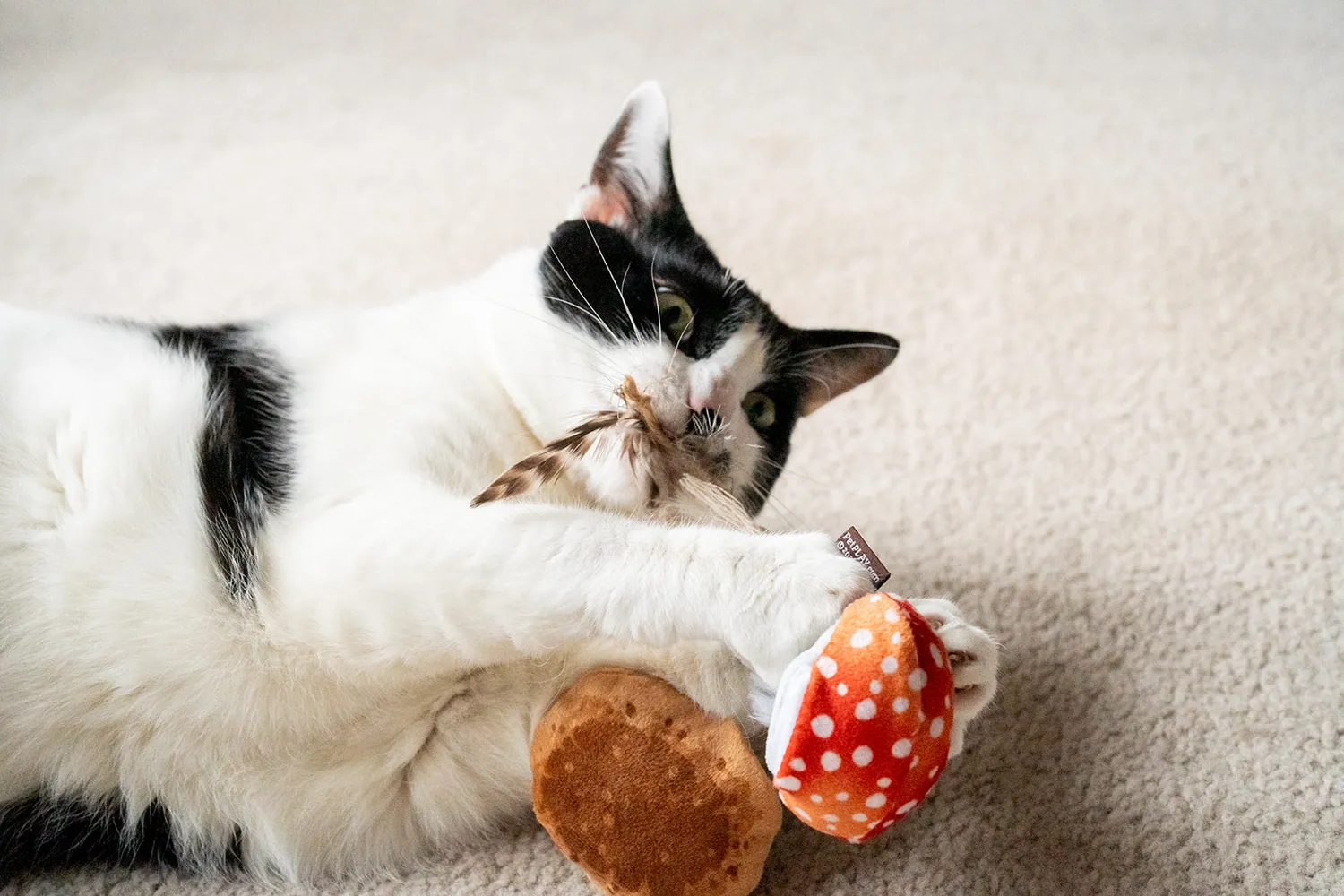 P.L.A.Y. Feline Frenzy Mystic Mushrooms kattleksak 2-pack katmynta