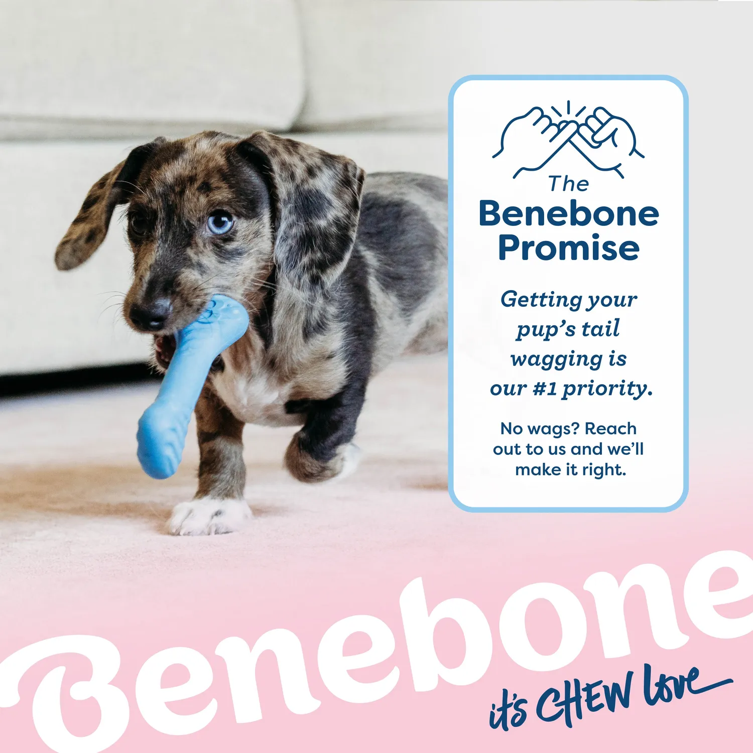 Benebone Puppy Bone tuggben tiny gummi